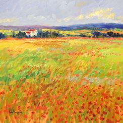 Poppy Field Provence